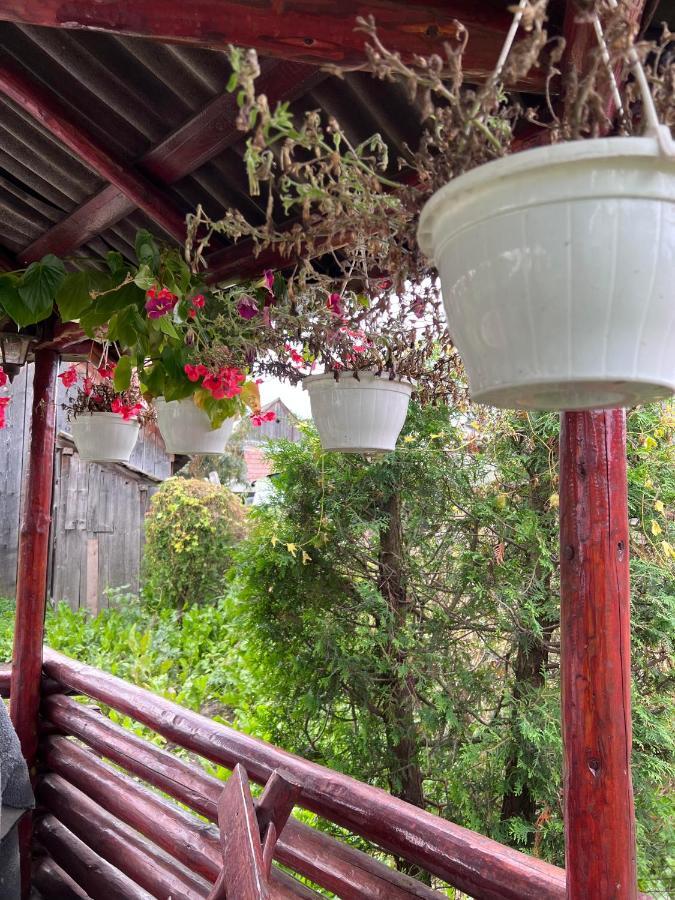 Casa Helen Insurance&Tourism Guest House Galócaş Екстериор снимка