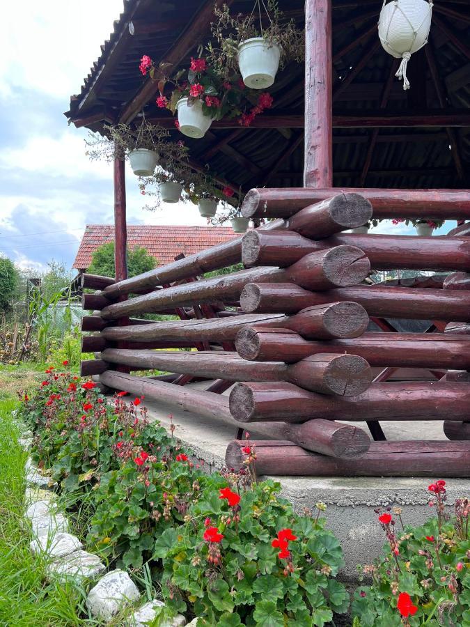 Casa Helen Insurance&Tourism Guest House Galócaş Екстериор снимка
